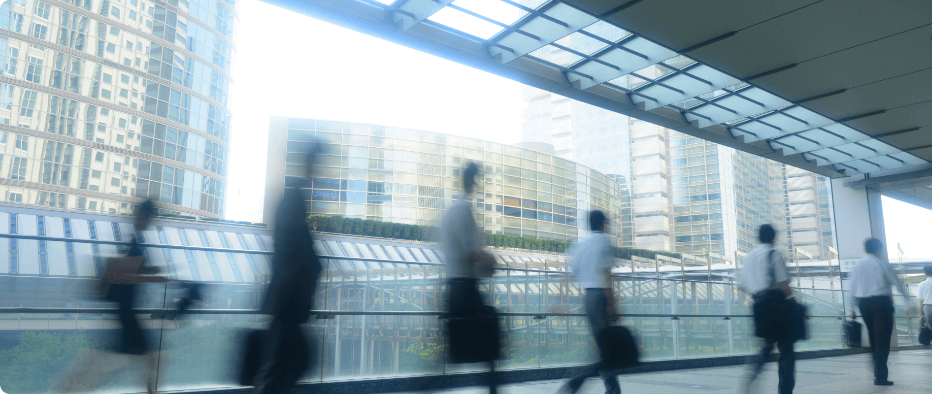 会社概要